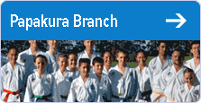 Taekwon-Do Branches